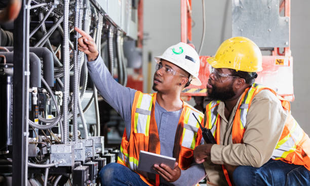 Best Electric Panel Repair  in De Soto, IL