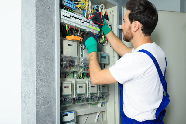 Best Residential Electrician Services  in De Soto, IL